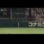 レス4番の画像1