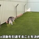 レス1番の画像3