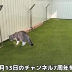 レス1番の画像2